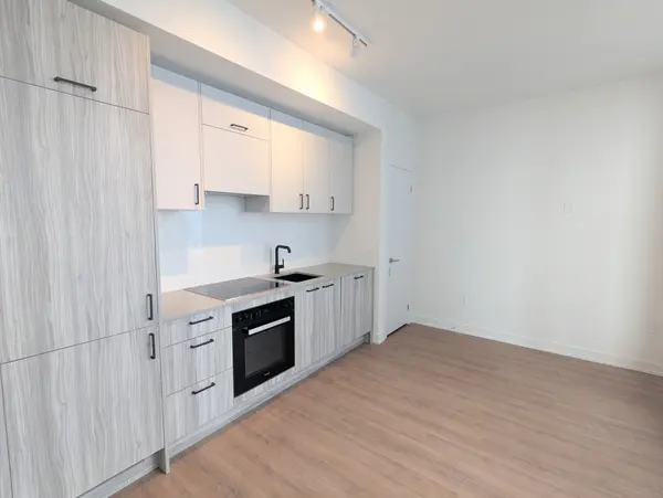 Toronto C13, ON M3C 0S4,1 Quarrington LN #2211