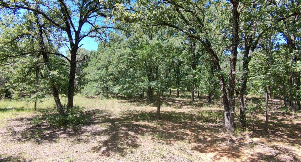 Lot 19 Saddle Creek Ct., Alba, TX 75410