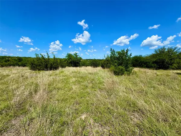 Glen Rose, TX 76690,1145 Hidden Cove Trail
