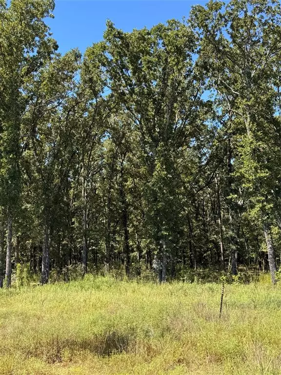 Alba, TX 75410,Lot 19 Saddle Creek Ct.