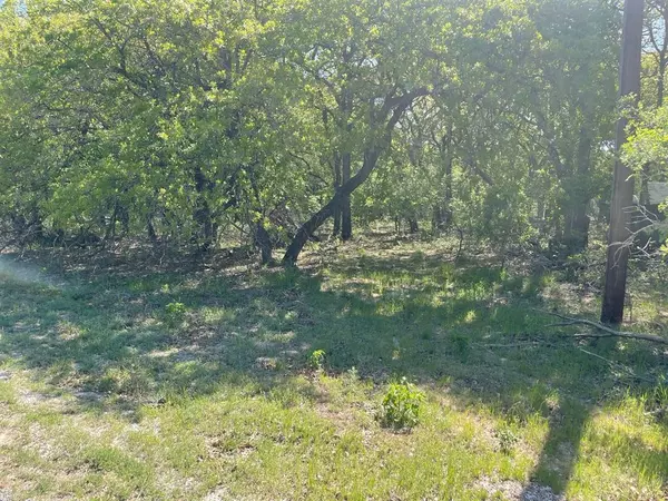 Azle, TX 76020,TBD Griffin St Griffin Street