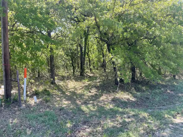 Azle, TX 76020,TBD Griffin St Griffin Street