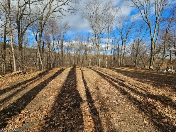 Morris Twp., NJ 07960,34 Starlight Dr