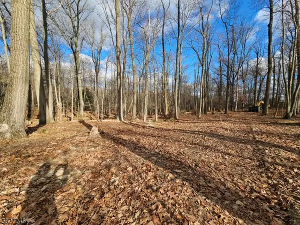 Morris Twp., NJ 07960,34 Starlight Dr