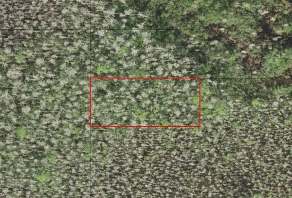 0 HOLOPAW GROVES RD, St. Cloud, FL 34772