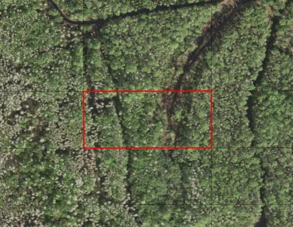 0 HOLOPAW GROVES RD, St. Cloud, FL 34772