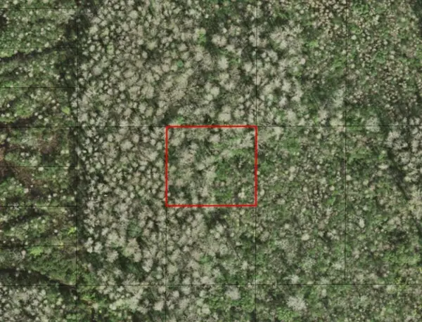 0 HOLOPAW GROVES RD, St. Cloud, FL 34772