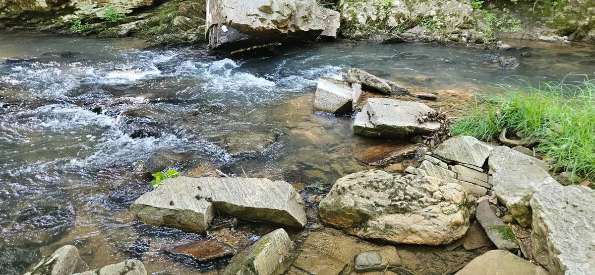 Madison Heights, VA 24578,0 Earley Farm RD