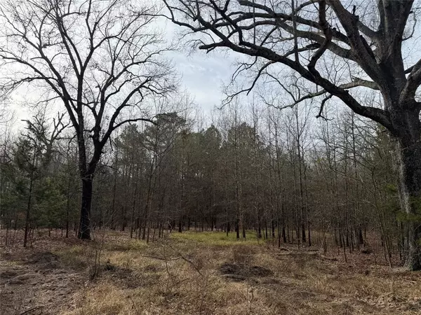 Clarksville, TX 75426,TBD Hwy 37