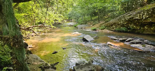 Madison Heights, VA 24578,0 Earley Farm RD