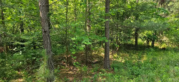 Madison Heights, VA 24578,0 Earley Farm RD