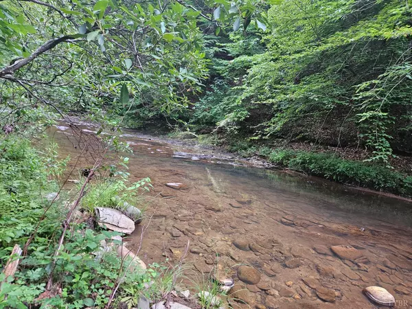 Madison Heights, VA 24578,0 Earley Farm RD