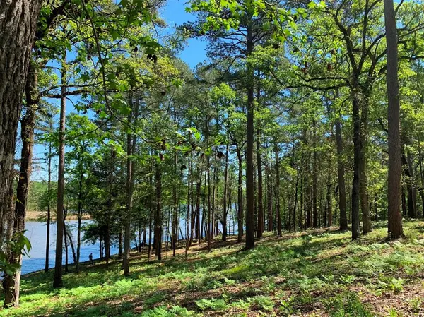 Frankston, TX 75763,000 FM-3506