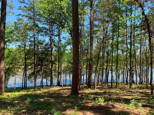 Frankston, TX 75763,000 FM-3506