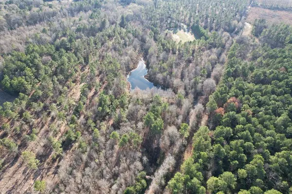 Beckville, TX 75631,TBD-C County Road 216