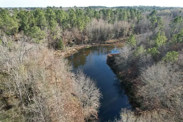 Beckville, TX 75631,TBD-C County Road 216