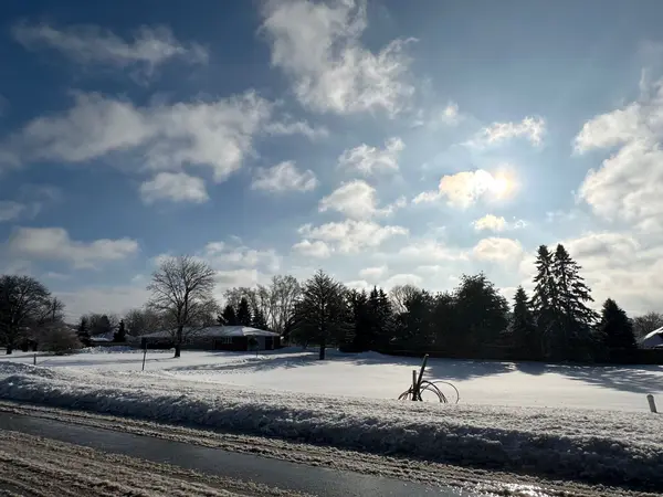 Brighton, ON K0K 1H0,25 Singleton ST