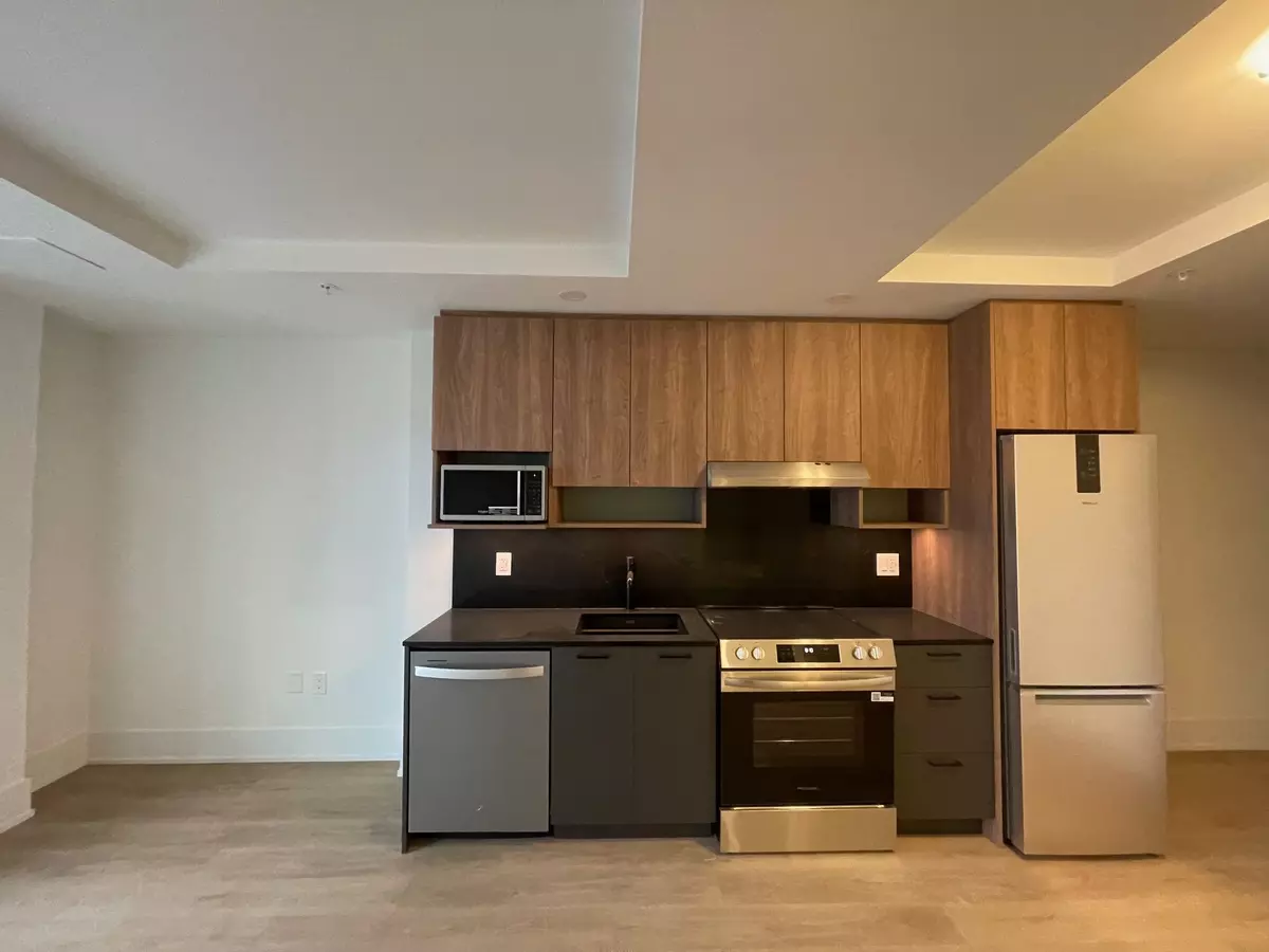 Hamilton, ON L8P 1A5,206 King ST W #1306