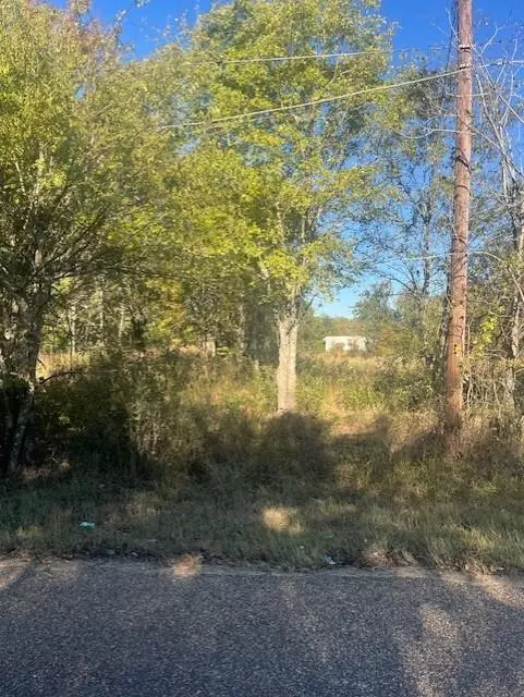 Terrell, TX 75161,23 County Rd 316C