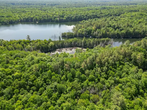 Addington Highlands, ON K0H 1Z0,PT LT 4 CON 7 Kaladar COUNTY RD 41 RD