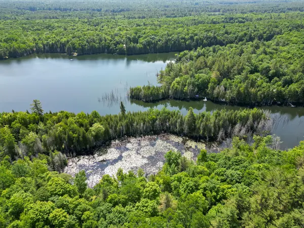 PT LT 4 CON 7 Kaladar COUNTY RD 41 RD, Addington Highlands, ON K0H 1Z0