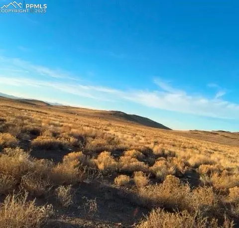 Manassa, CO 81141,County Road 21