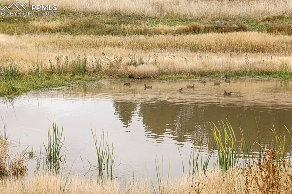 Colorado Springs, CO 80908,8115 Mustang RD