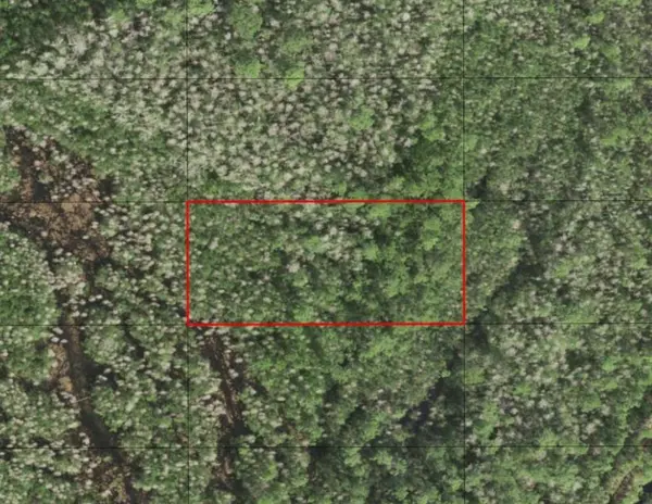 0 HOLOPAW GROVES RD, St. Cloud, FL 34772