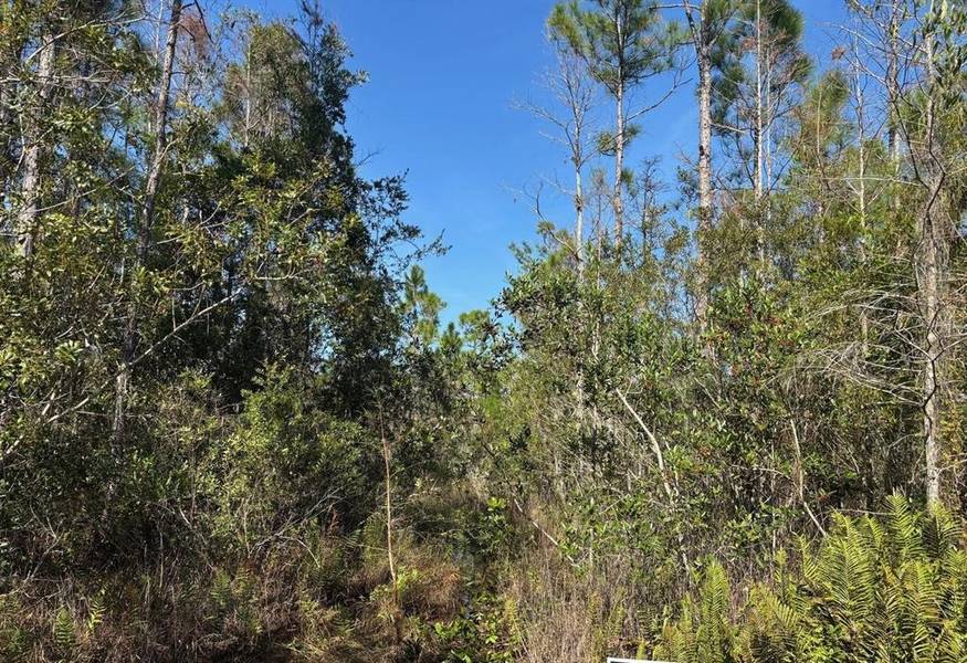 0 HOLOPAW GROVES RD, St. Cloud, FL 34772