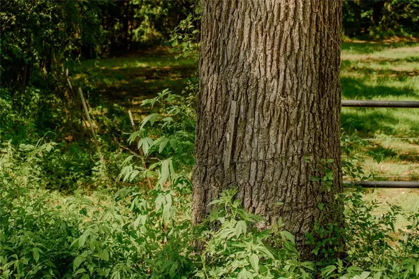 Sadler, TX 76264,TBD FM 901