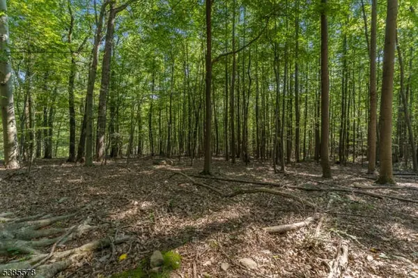 Glen Gardner Boro, NJ 08826,68 Sanatorium Rd