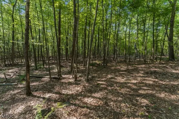 Glen Gardner Boro, NJ 08826,68 Sanatorium Rd