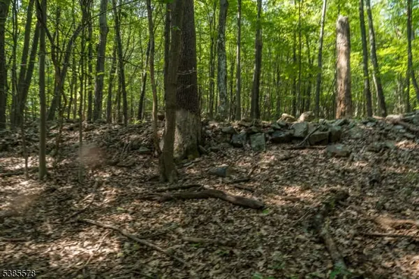 Glen Gardner Boro, NJ 08826,68 Sanatorium Rd