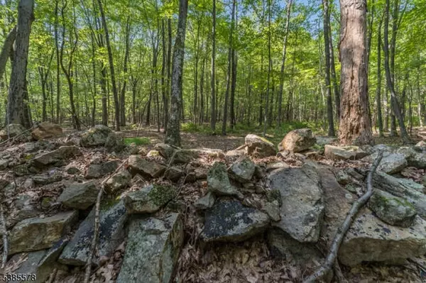 Glen Gardner Boro, NJ 08826,68 Sanatorium Rd