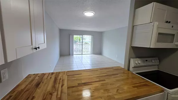 Miami, FL 33162,15221 NE 6th Ave #A204