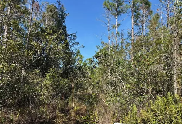 0 HOLOPAW GROVES RD, St. Cloud, FL 34772