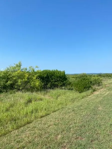 Lot 203 Evening Primrose Drive, Possum Kingdom Lake, TX 76449