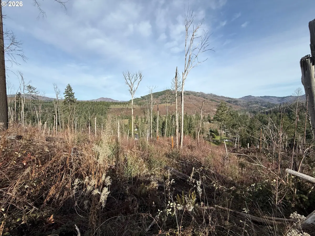 Cascade View #1, Vida, OR 97488