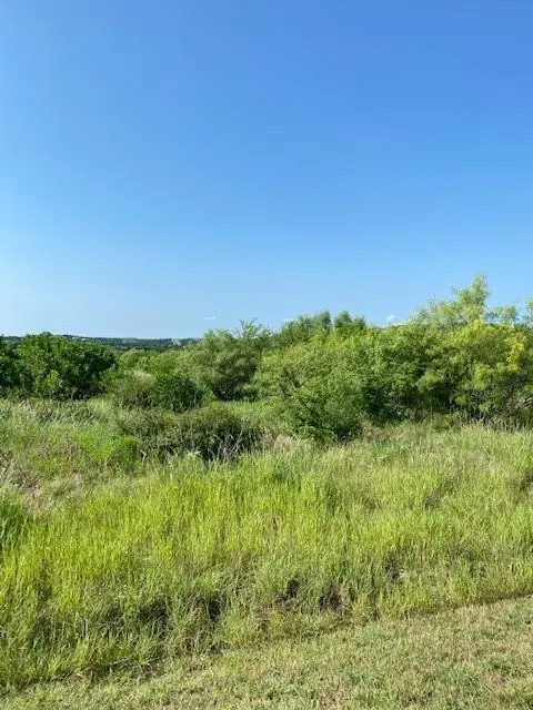 Possum Kingdom Lake, TX 76449,Lot 203 Evening Primrose Drive