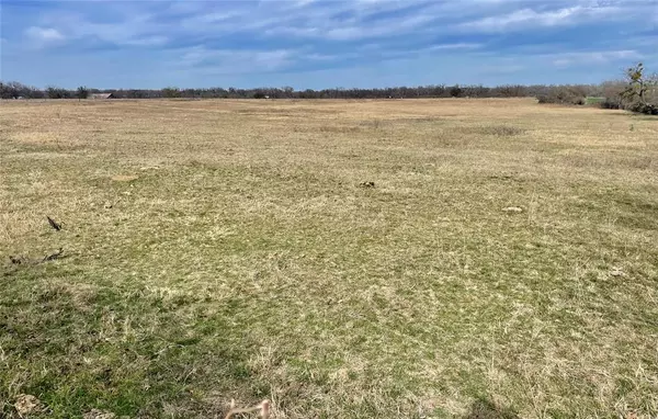 Comanche, TX 76442,TBD S HWY 36