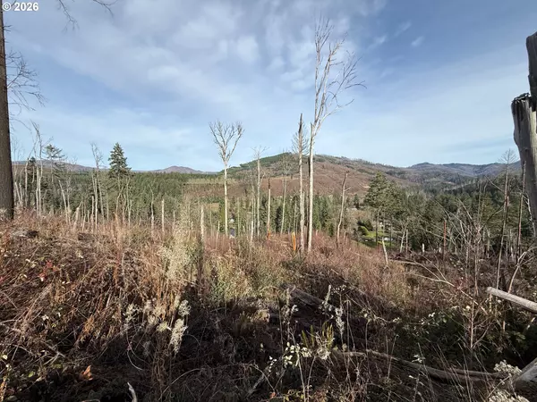 Cascade View #1, Vida, OR 97488