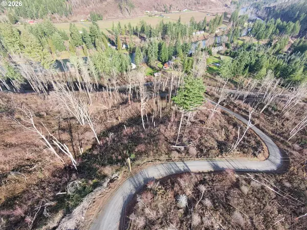 Vida, OR 97488,Cascade View #1