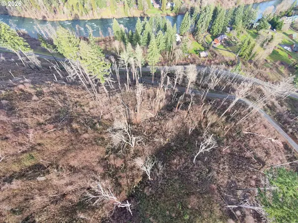 Vida, OR 97488,Cascade View #1