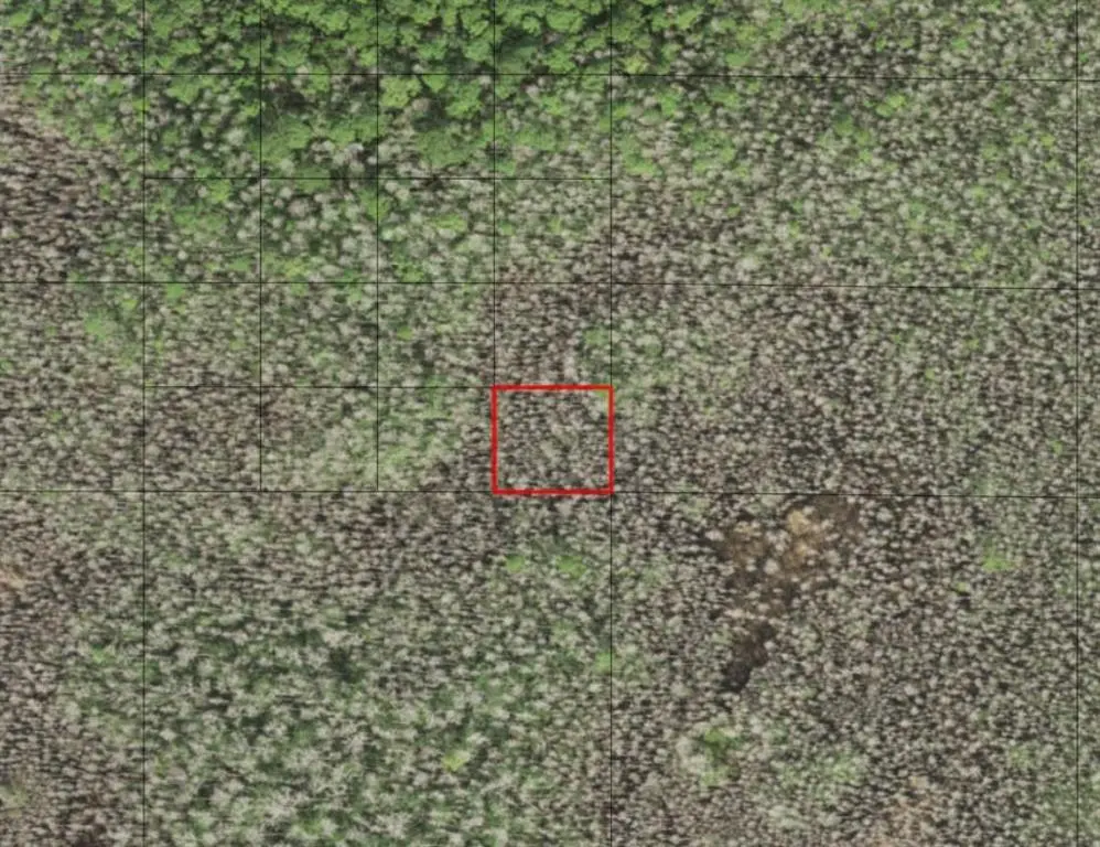 St. Cloud, FL 34772,0 HOLOPAW GROVES RD