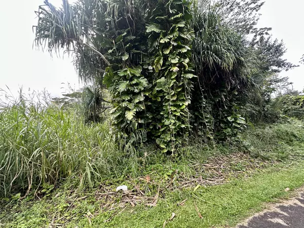 Pahoa, HI 96778,MOI ST