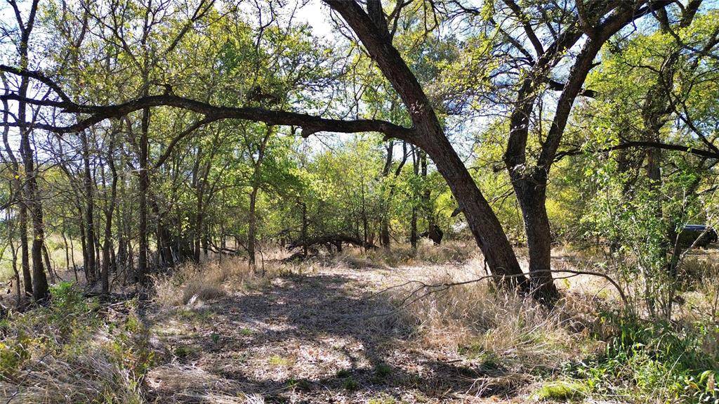 000 Bee Creek Road, Grandview, TX 76050
