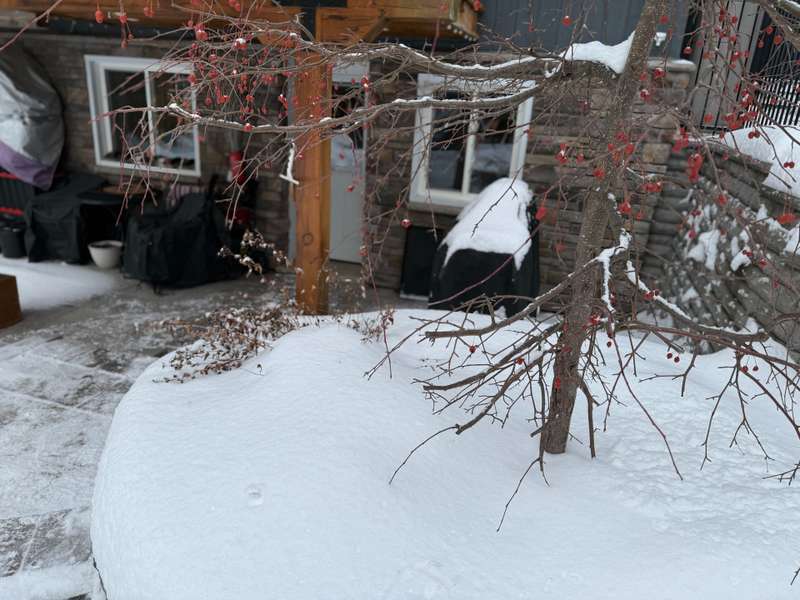 579 Peneshula RD #Getaway, Lanark Highlands, ON K0A 3L0