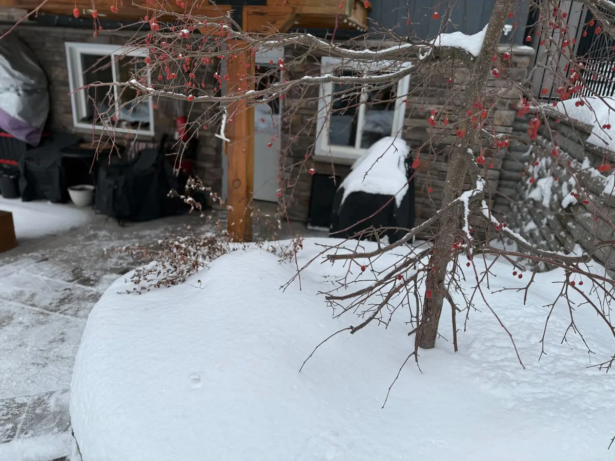 Lanark Highlands, ON K0A 3L0,579 Peneshula RD #Getaway