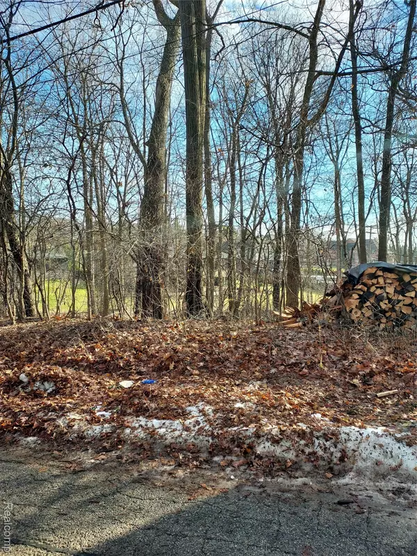 Bloomfield, MI 48302,(Parcel ID: 1906451059) Hamilton