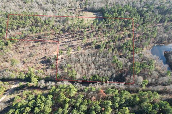 TBD-D County Road 216, Beckville, TX 75631